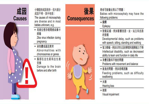 香港卫生署管理局呼吁防范塞卡病毒